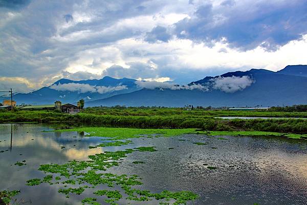 花東4日遊0125.JPG