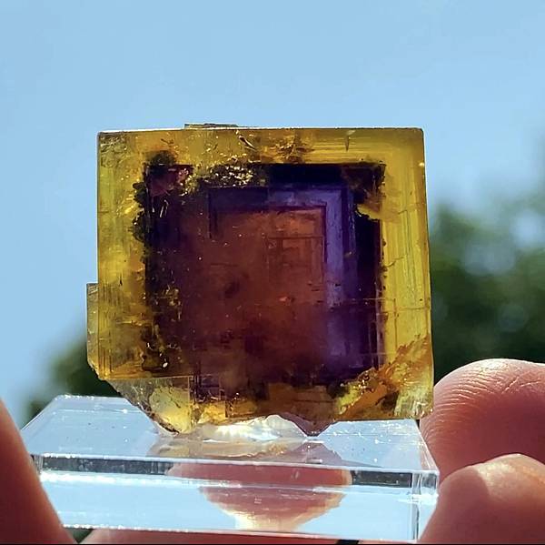 Fluorite from Bergmännisch Glück Mine, Frohnau, Erzgebirge Mts., Saxony, Germay