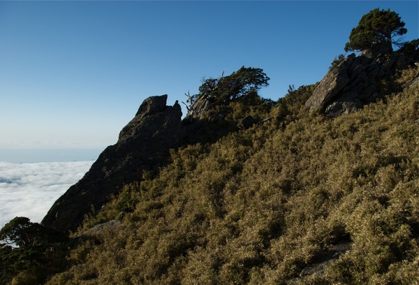 嘉明湖Day2-1向陽山-81.jpg