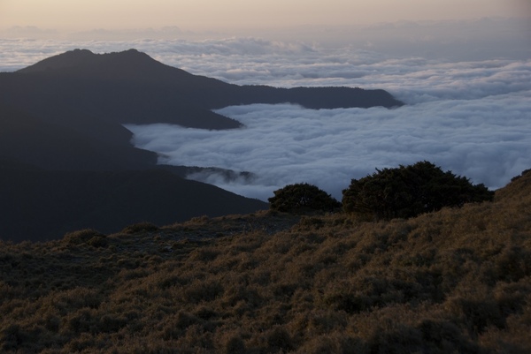 嘉明湖Day2-1向陽山-29.jpg