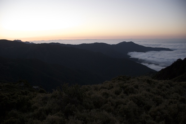 嘉明湖Day2-1向陽山-15.jpg