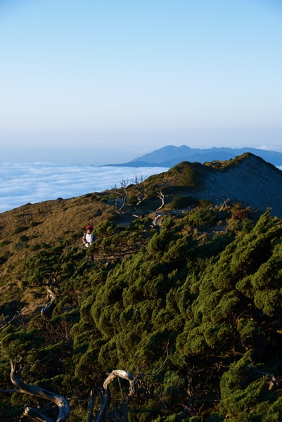 嘉明湖Day2-1向陽山-44.jpg