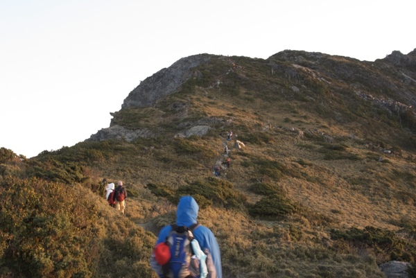 嘉明湖Day2-1向陽山-27.jpg