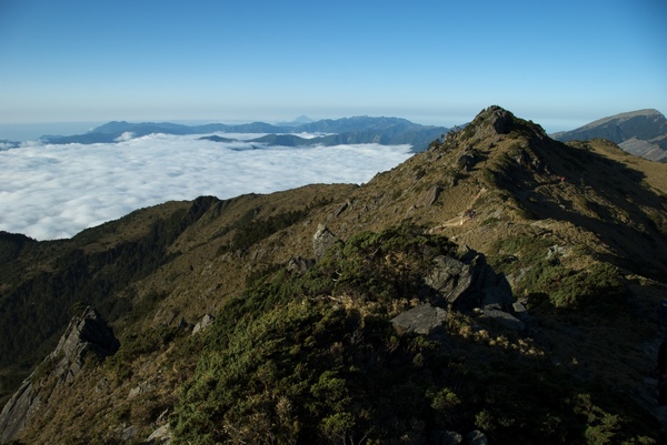 嘉明湖Day2-1向陽山-87.jpg