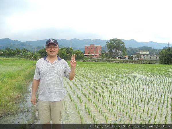 想穿過田間去對面.JPG