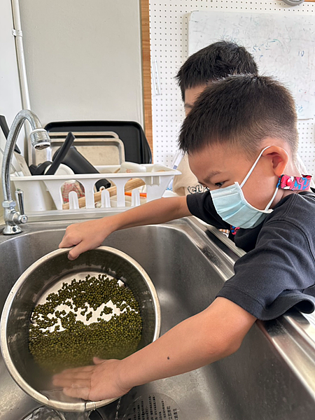 維尼熊班---夏日綠豆湯