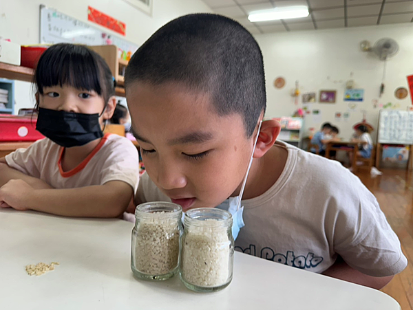 維尼熊主題分享---米粒大不同