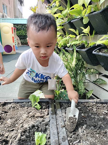 關於趴趴熊的菜農初體驗 關於趴趴熊的菜農初體驗