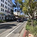 IMG_3450.JPG