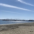 IMG_3456.JPG