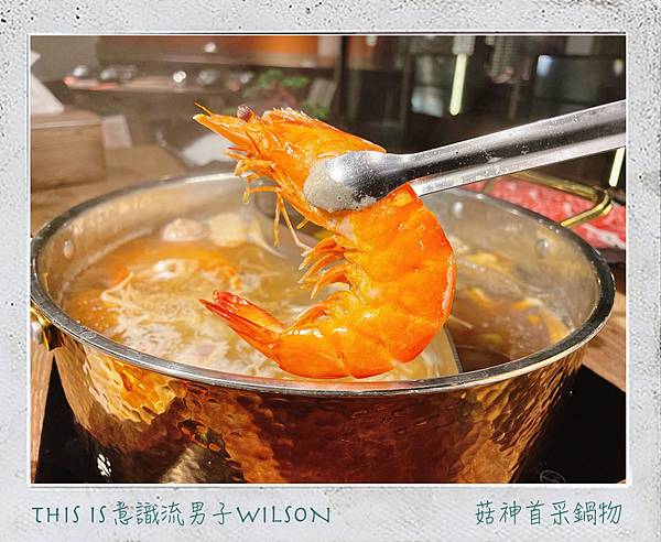 意識流男子WILSON 菇神首采14.jpg