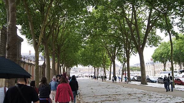 DSC06249.JPG DSC06249.JPG