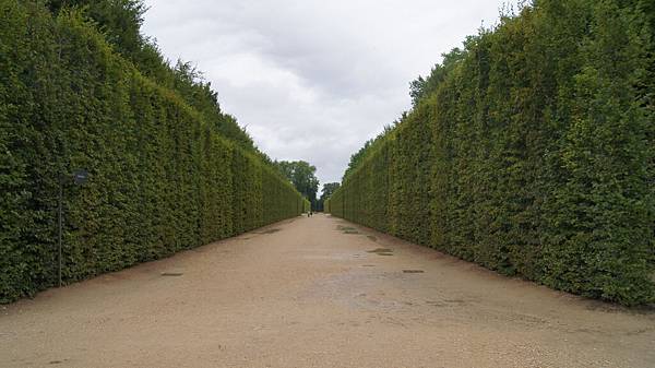 DSC06383.JPG DSC06383.JPG