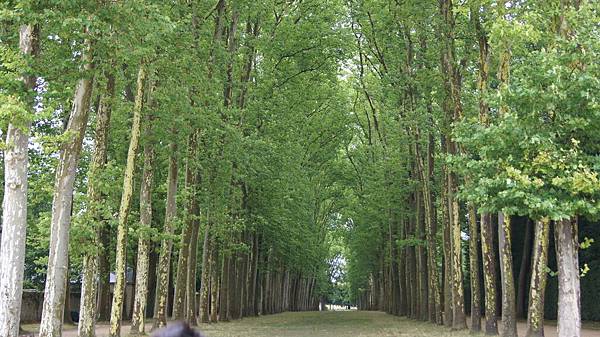 DSC06388.JPG DSC06388.JPG