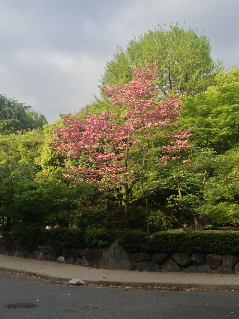 IMG_9351.JPG IMG_9351.JPG