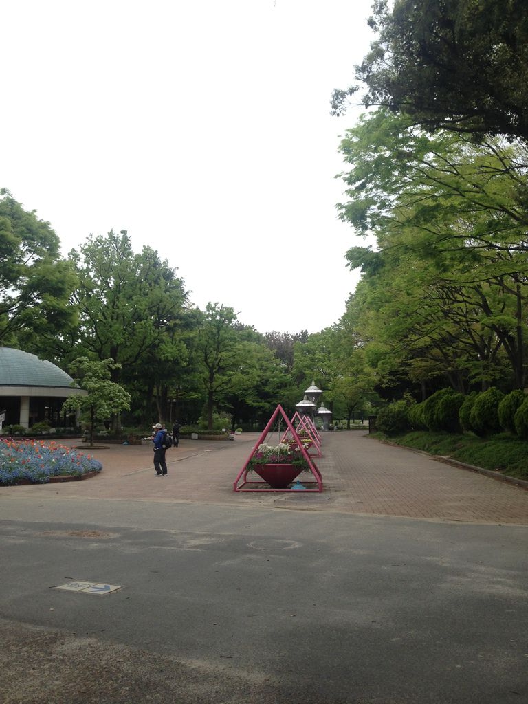 IMG_9367.JPG IMG_9367.JPG