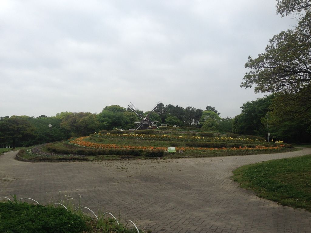 IMG_9370.JPG IMG_9370.JPG