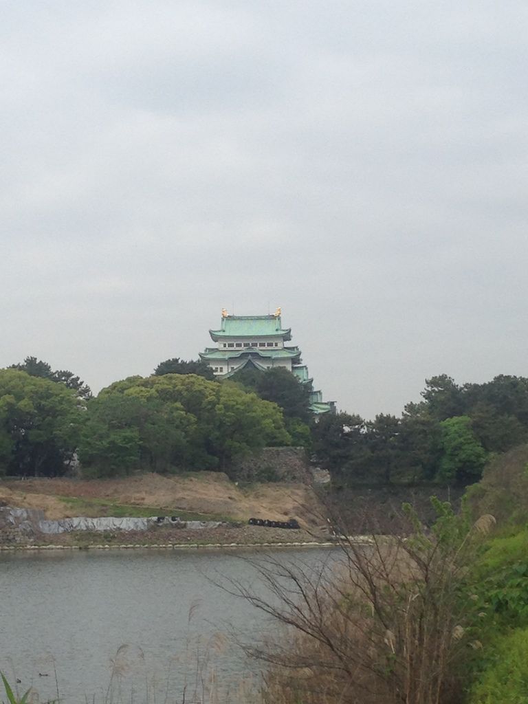 IMG_9378.JPG IMG_9378.JPG