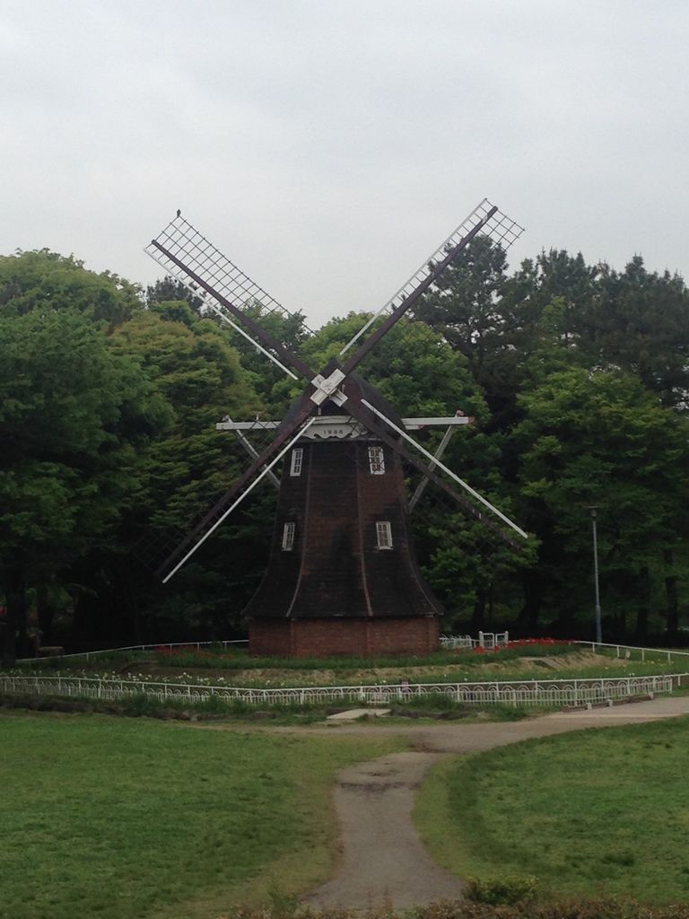 IMG_9372.JPG IMG_9372.JPG