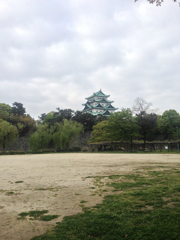 IMG_9376.JPG IMG_9376.JPG