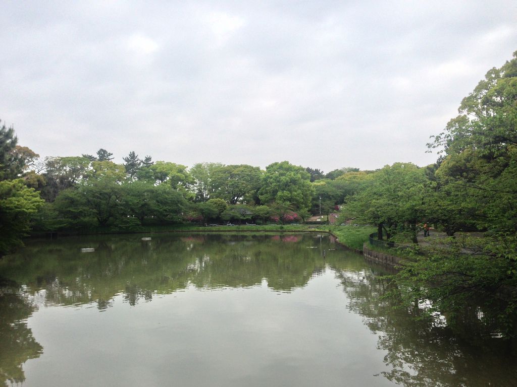 IMG_9373.JPG IMG_9373.JPG