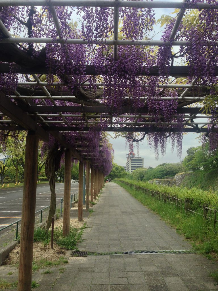 IMG_9379.JPG IMG_9379.JPG