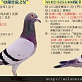 NL03-5340560亞德蘭倫1+2
