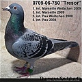 DV0709-06-750Tresor