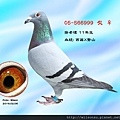 05-566999_調整大小.jpg