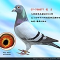 07-796877_調整大小.jpg