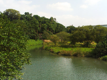 古亭河濱公園11永福橋往福和河濱公園-永福公園