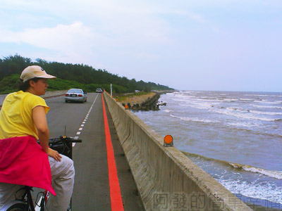 桃園新屋綠色隧道02-濱海道路.jpg