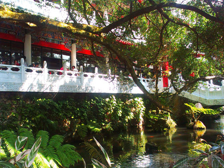 陽明山初一走春賞櫻花18辛亥光復樓