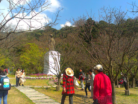 陽明山初一走春賞櫻花27王陽明銅像區