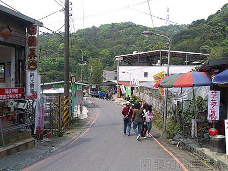 內湖碧山路採草莓I-01草莓園區