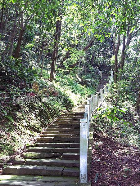 白雞行脩宮與吳媽媽大溪豆乾20再往上之登山步道