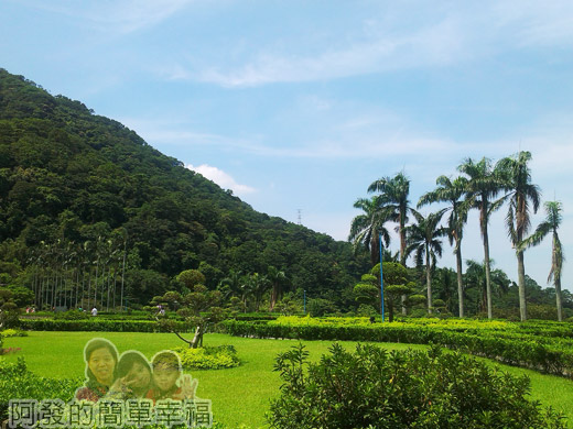 白雞行脩宮與吳媽媽大溪豆乾06前方綠地