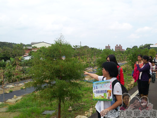 八連溪有機生態村之旅12三芝國小老師蔡晶晶