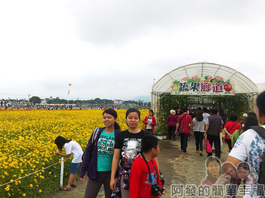 2014新社花海10-蔬果廊道
