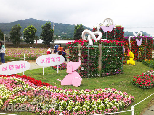 2014新社花海15-精緻草花區造景