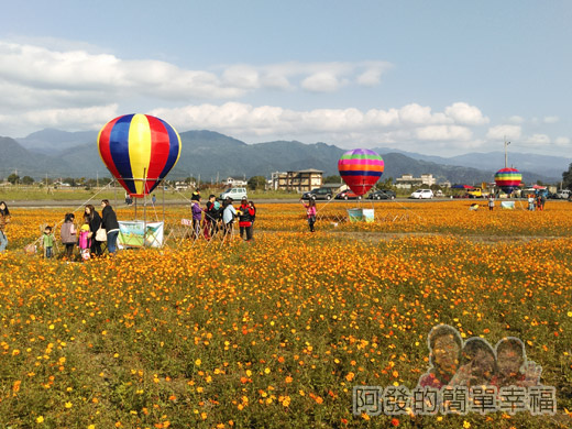 2015花海氣球嘉年華06