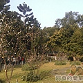 中正紀念堂梅景26-杭州南路與信義路出口-純香梅花區