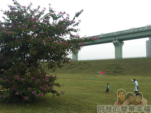 大臺北都會公園II17-幸福水漾公園-草皮上放風箏.jpg