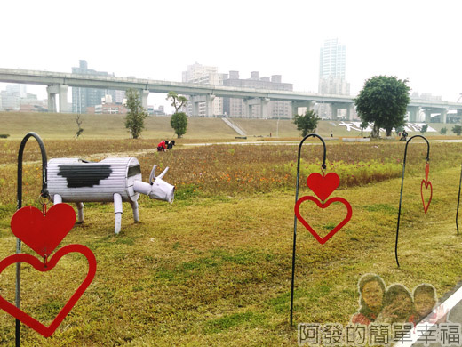 大臺北都會公園II20-幸福水漾公園-多了一些花圃.jpg
