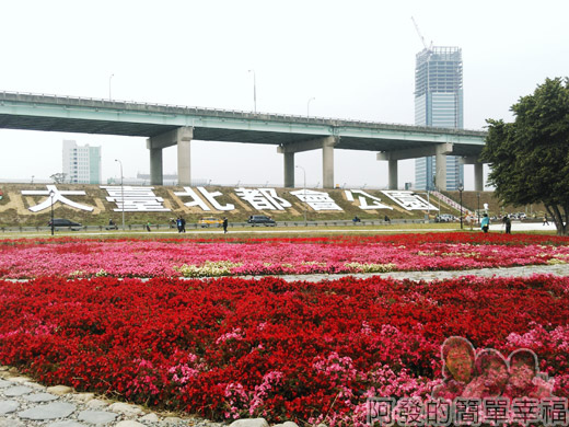 大臺北都會公園II48-幸福水漾公園-四季花海區.jpg