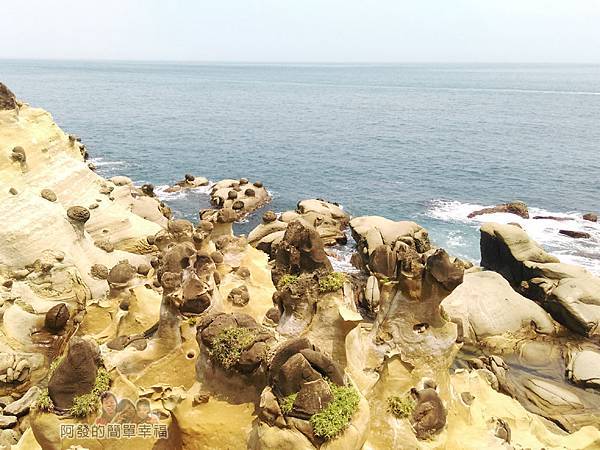 和平島海角樂園30-環山步道-觀景涼亭旁的皇帝殿與台灣豬腳