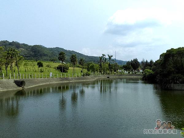 福德坑環保復育園區26-滯洪沉沙池