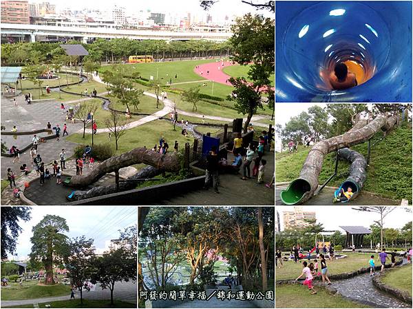 錦和運動公園all 錦和運動公園all