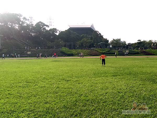 錦和運動公園01-為大面積綠色草坪的運動公園
