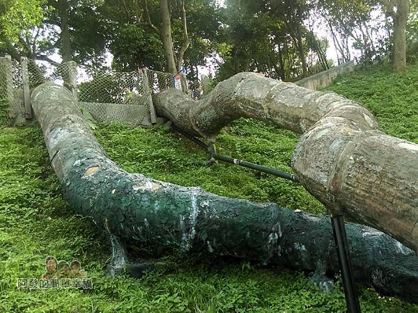 錦和運動公園15-外觀有預留半透光的孔洞